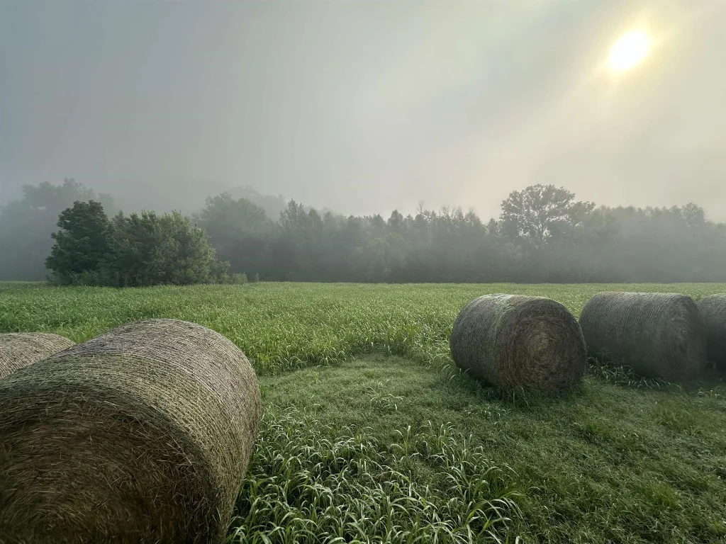 000 White River Run, Guion