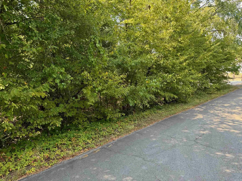 16 Faisan Way, Hot Springs Village