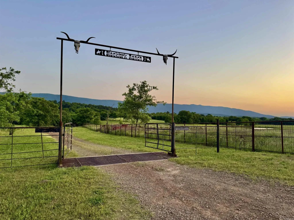 35871 Blackfork Trail, Mena