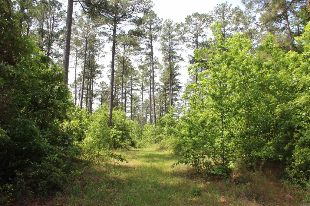 201 Nevada 25, Rosston