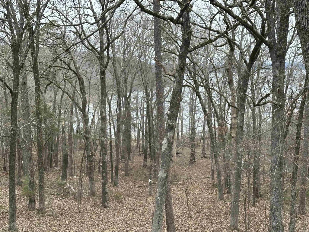 0 Baywood Drive, Heber Springs