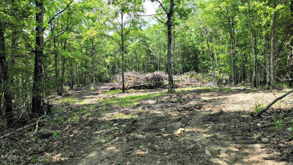 Tbd, Tract 2 Polk Road 158, Mena