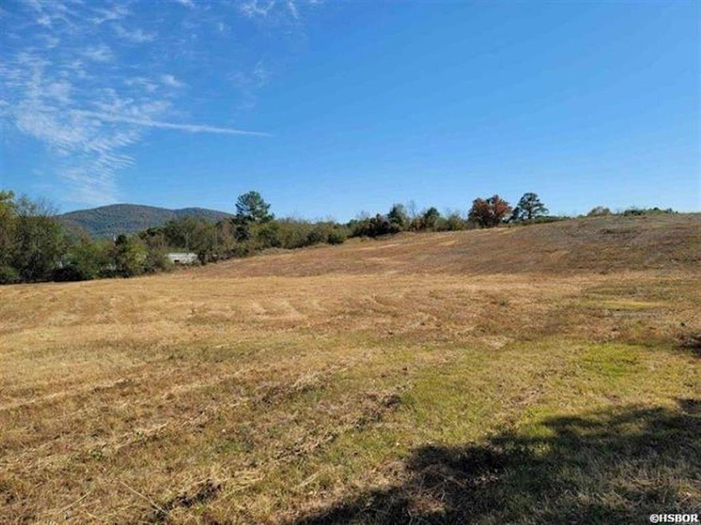 Xxx Mountain Pine Road, Hot Springs