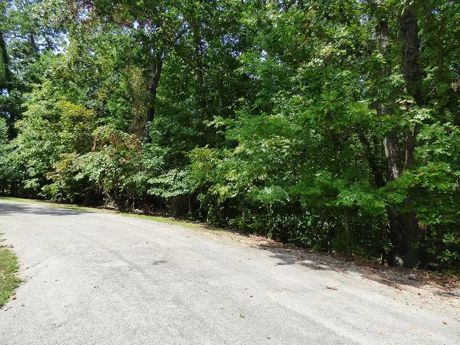 Alamo Trail, Cherokee Village