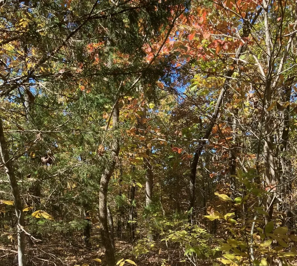 Tbd Pinecrest Road, Hardy