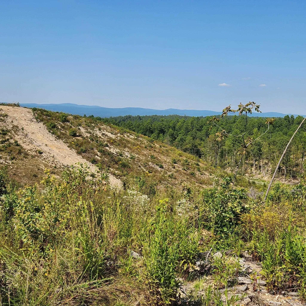 9999 Polk Road 62, Mena