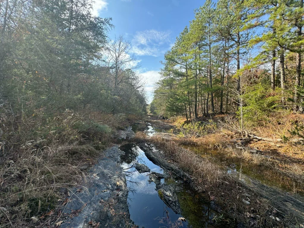 193 Polk Road 147, Mena