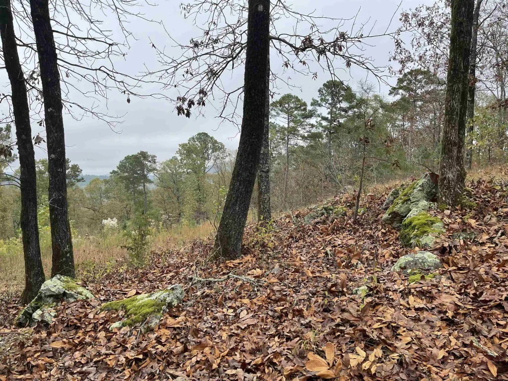 4001 Ridgefield Lane, Little Rock