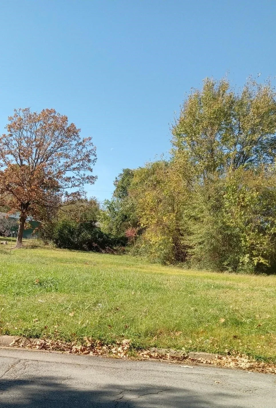 3214 Wolfe Street, Little Rock