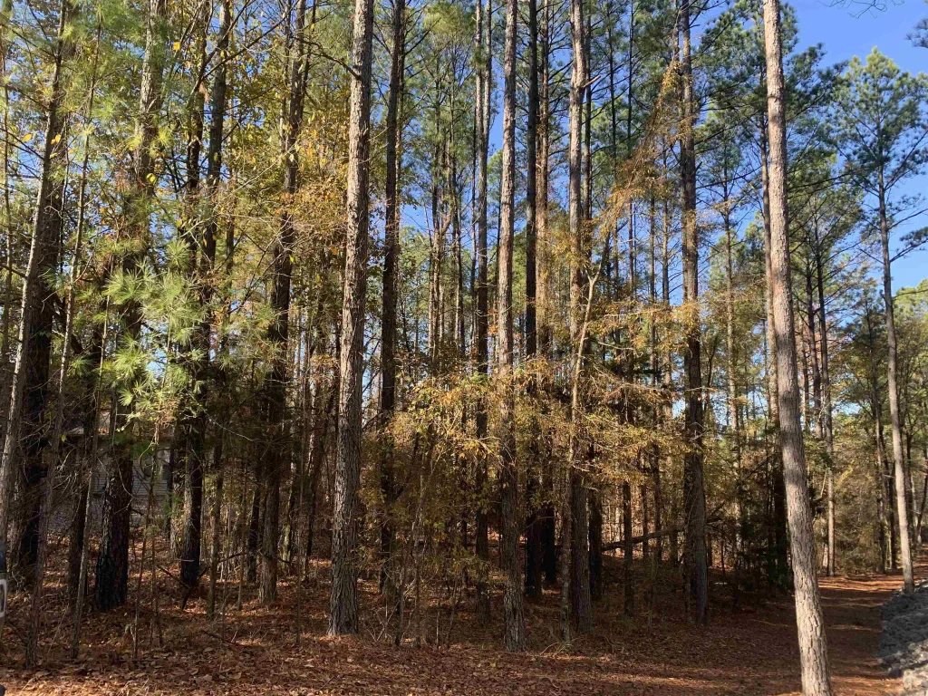 25 Victoria Lane, Hot Springs Village