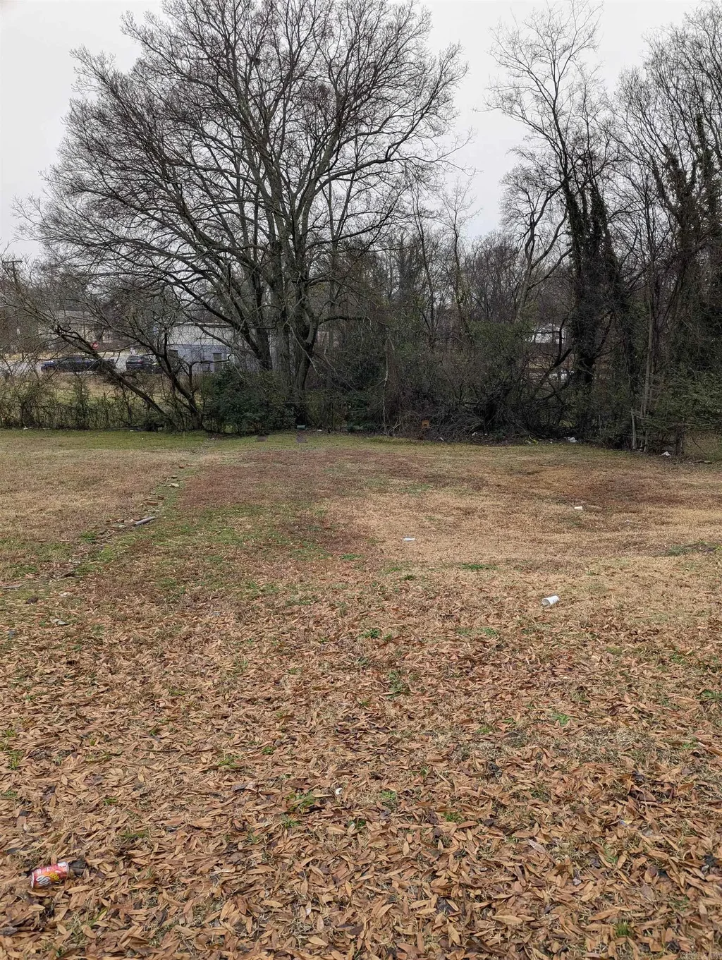 2320 S Pulaski Street, Little Rock