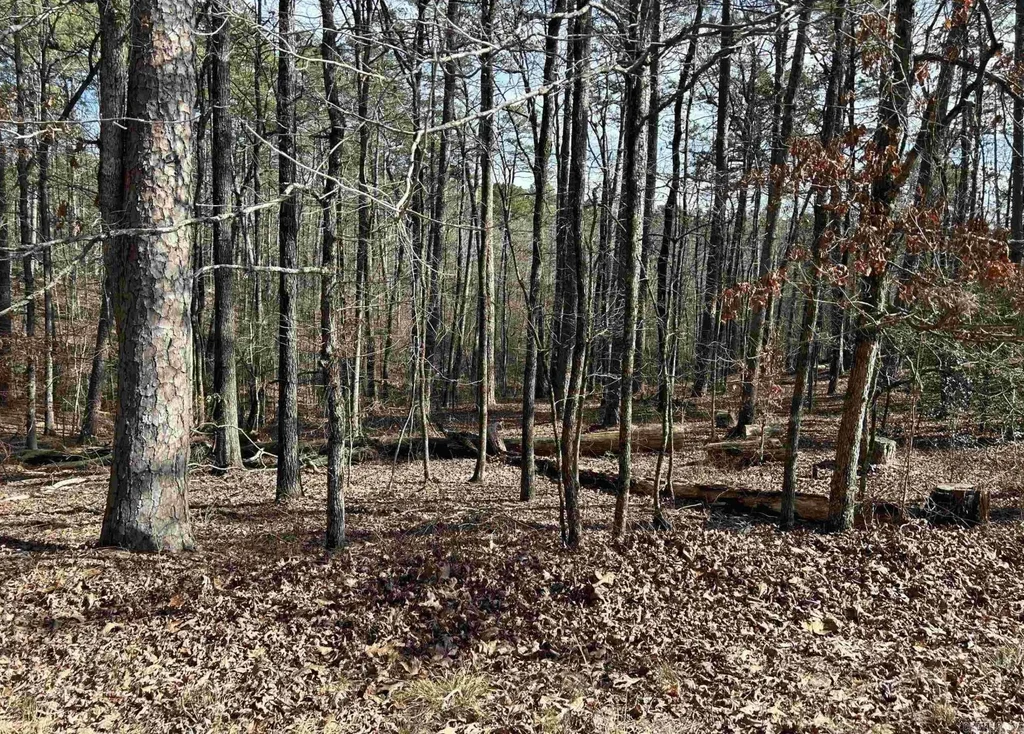 Tbd La Janda Circle, Hot Springs Village