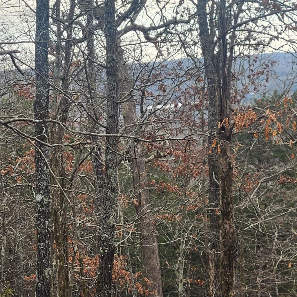 L-8, B-3 Kee Trail, Hardy