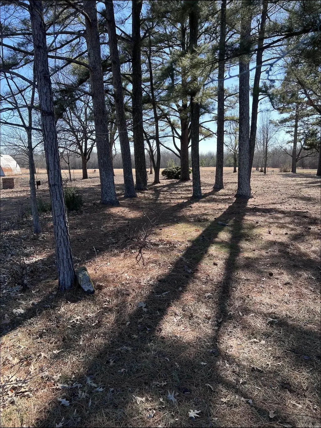 303 Daybreak, Jonesboro