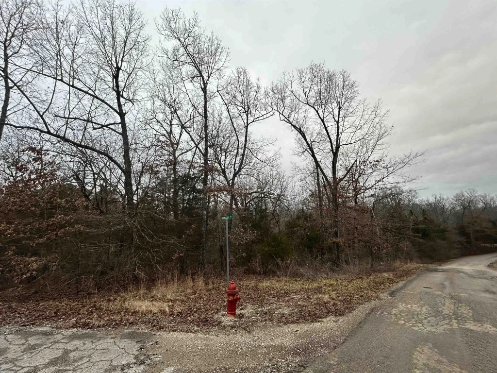 Tbd Wacasassa Drive, Cherokee Village