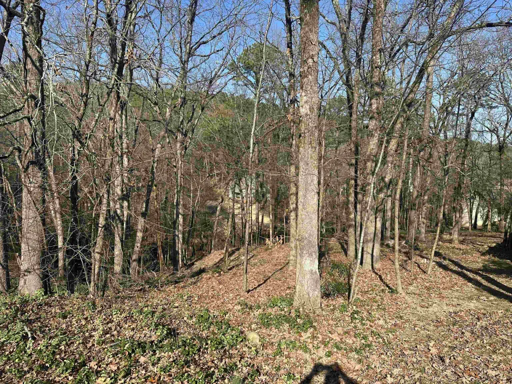 3 Bonaparte Ct., Little Rock