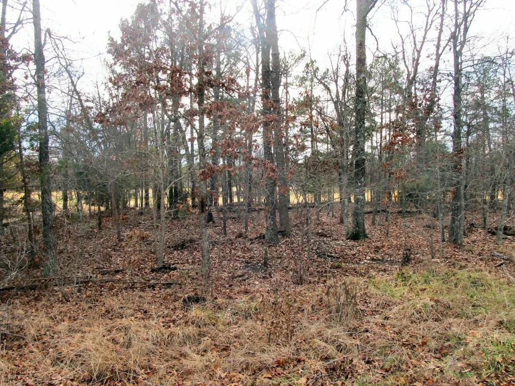 Tampa Drive, Cherokee Village