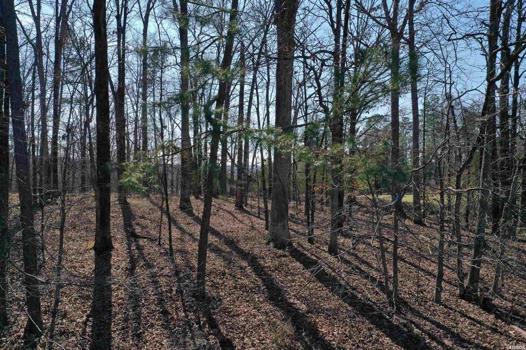 102 Fairway Court, Hot Springs