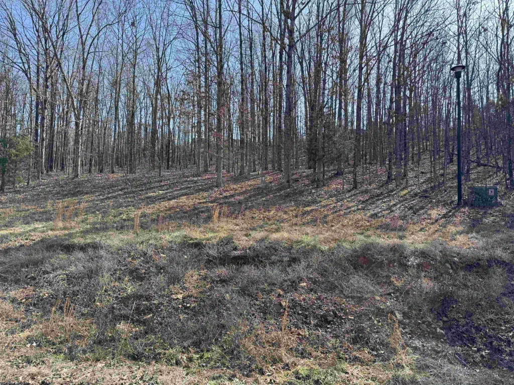 Lot 57 Rainbow Lake Road, Austin