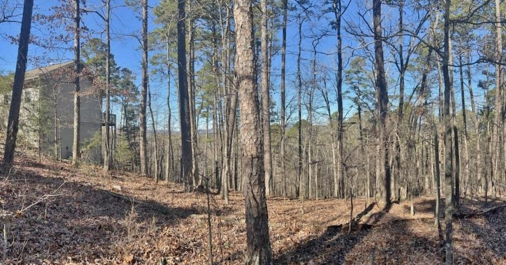 46 Mariposa Way, Hot Springs Village