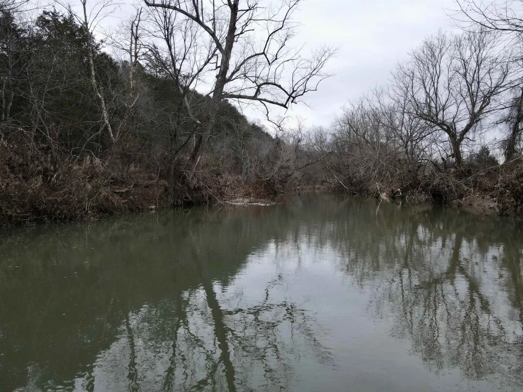 Tbd Cedar Park Road, Viola