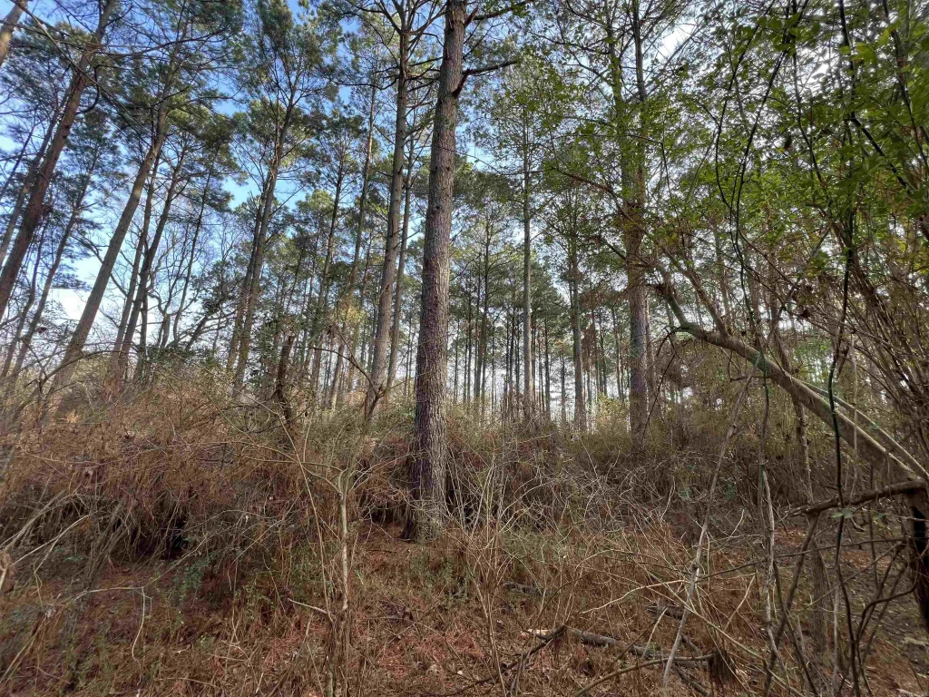 000 W University Street, Magnolia