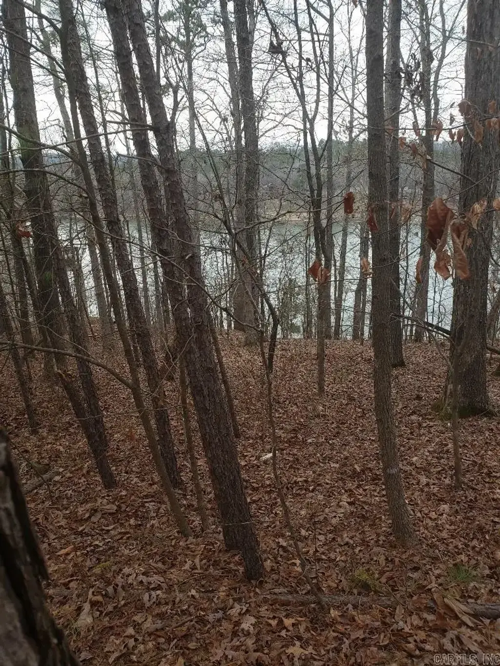33 Waterfront Ct, Hot Springs