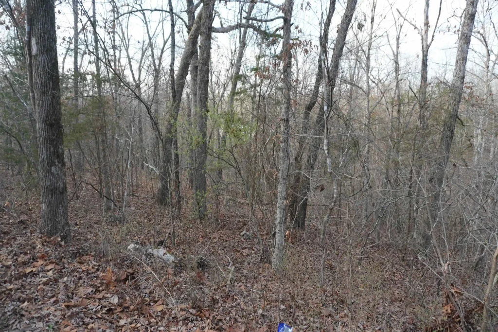 000 Algonquin Circle, Cherokee Village