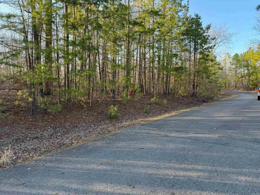 8 Andorra Lane, Hot Springs Village