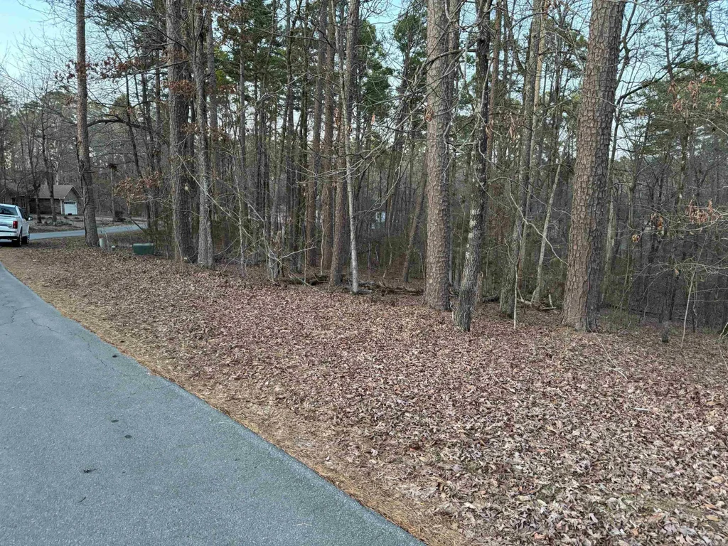 65 Saldana Way, Hot Springs Village