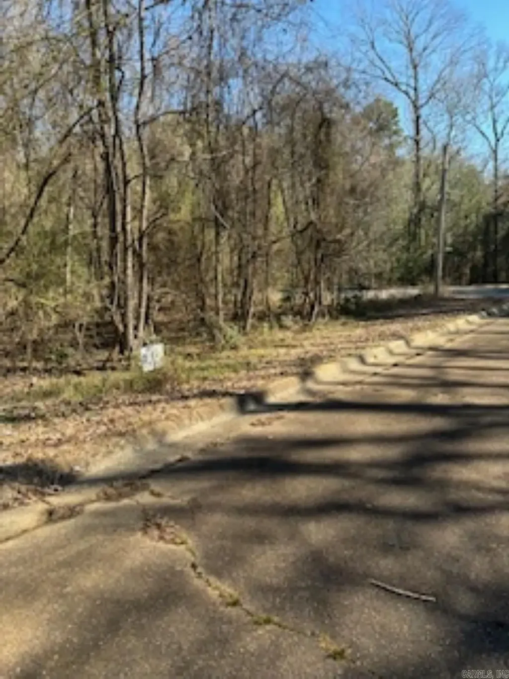 000 Peppertree/mockingbird/camellia, Camden