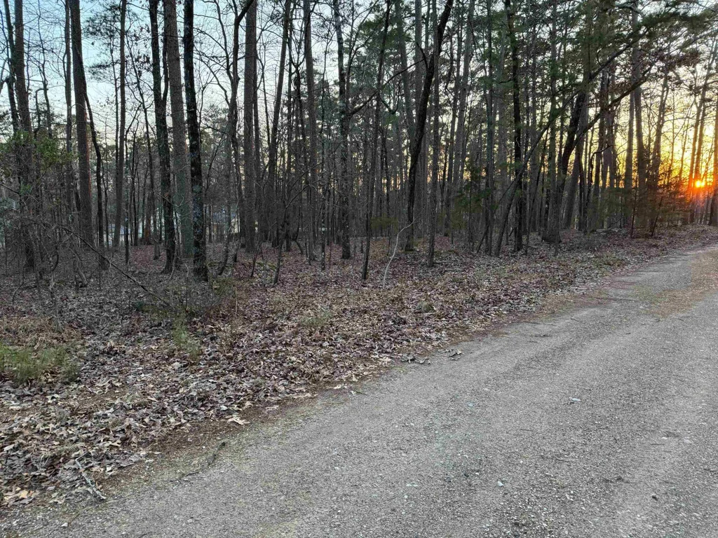 23 Jaguar Way, Hot Springs Village