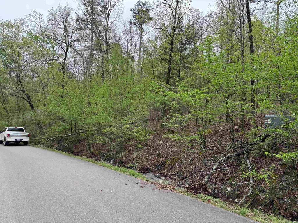 34 Soga Place, Hot Springs Village