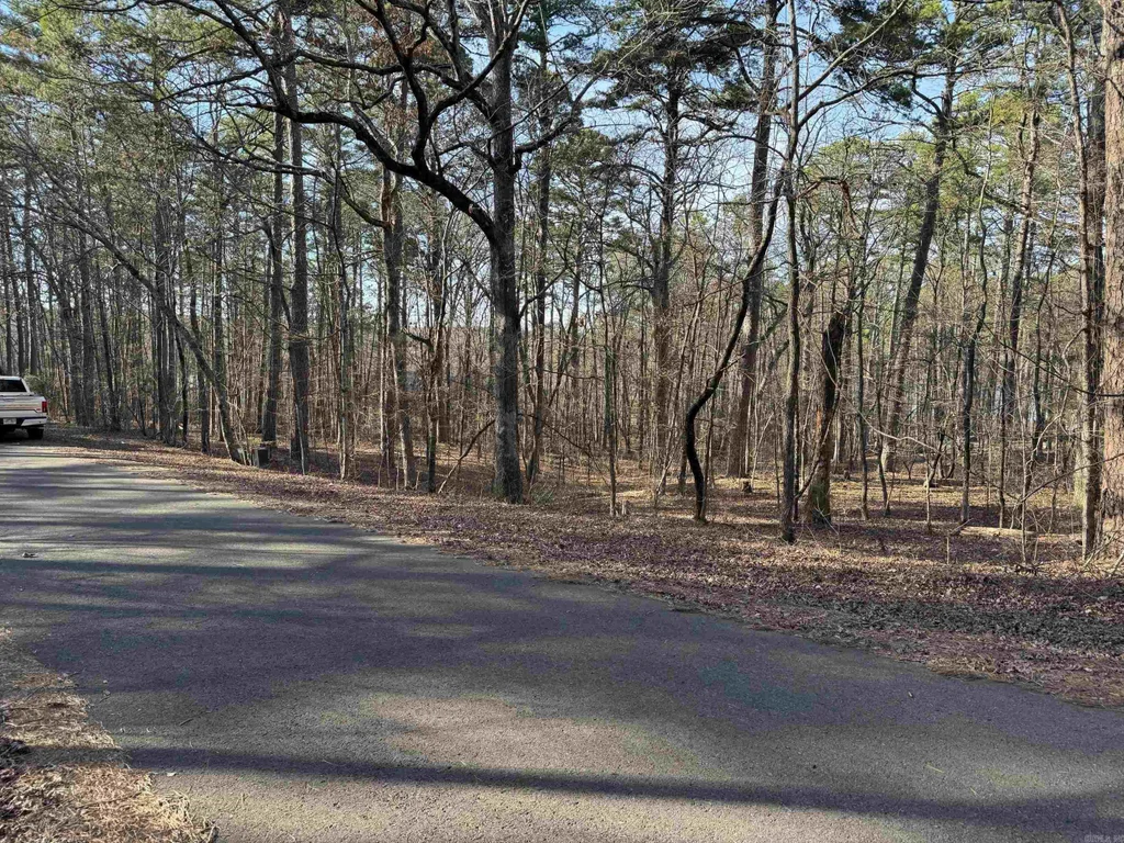 93 Ronquillo Way, Hot Springs Village