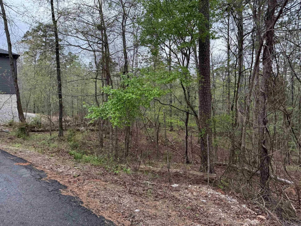 13 Sorpresa Lane, Hot Springs Village