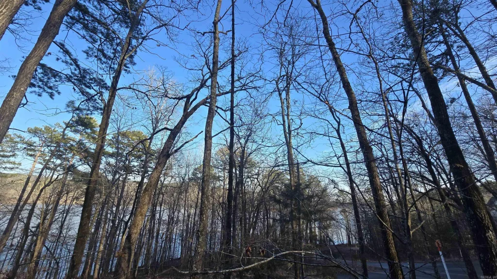 Lot 66 Lower Ridge Circle, Edgemont