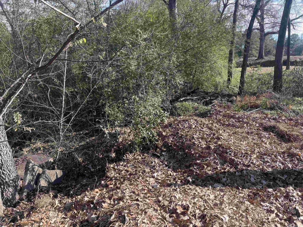 Tbd E Stillwell Avenue, De Queen