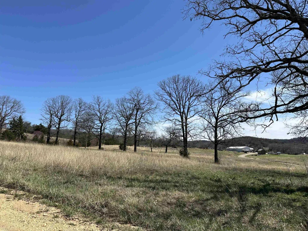 Lot 4 Deer Meadows Lane, Yellville