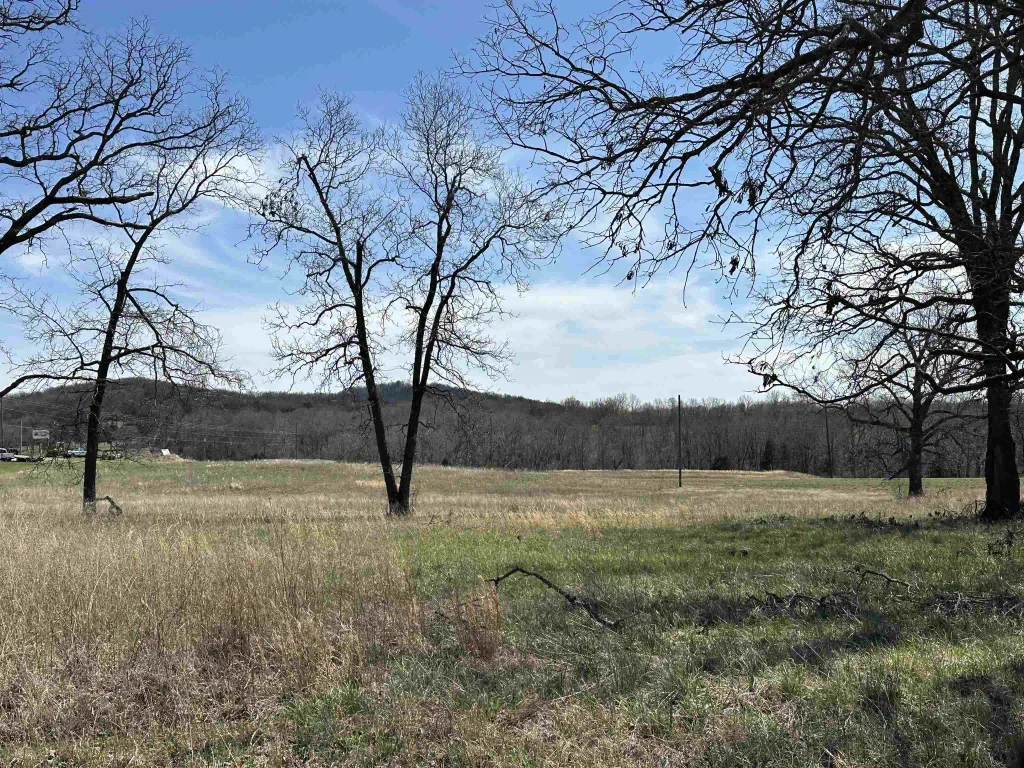 Lot 1 Hwy 62, Yellville