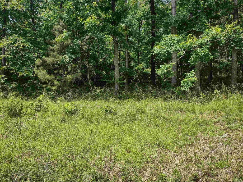 Lot 2127 Diamondhead, Hot Springs