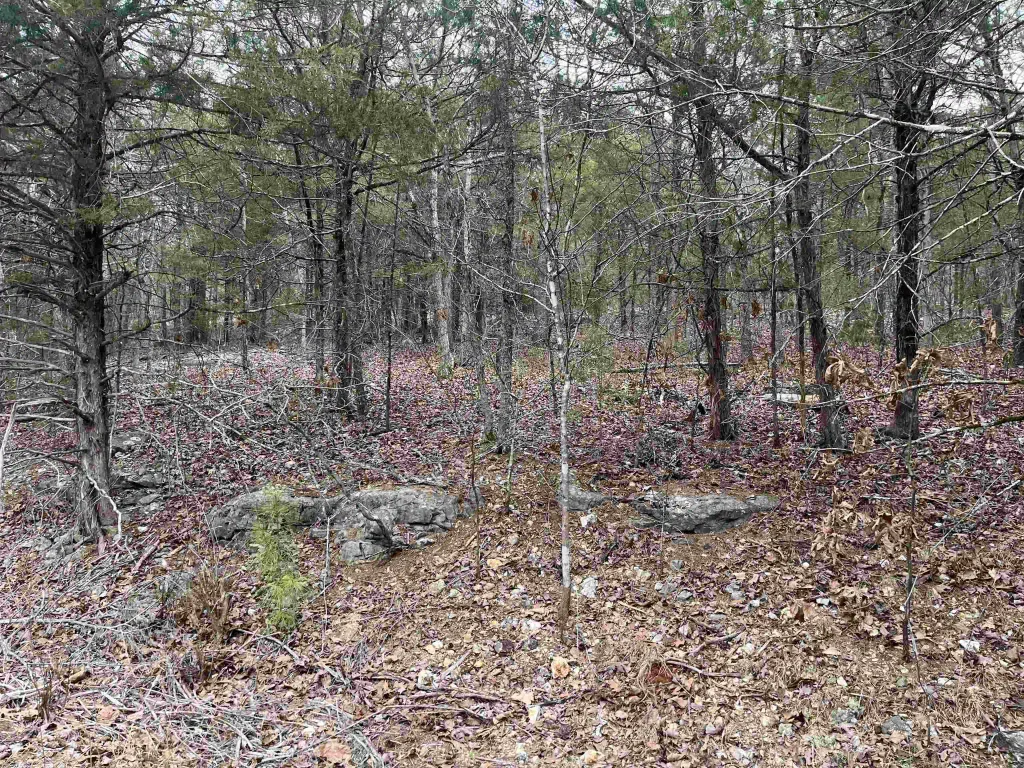 Tbd San Ildefonso Trace, Cherokee Village