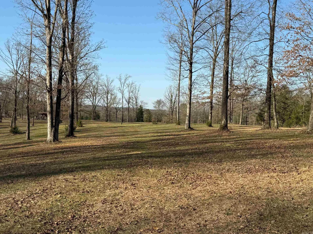 Tbd Polk Road 168 Lot #4, Mena