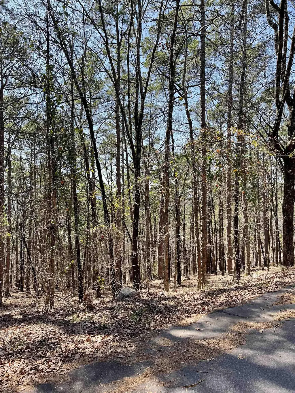 57 Cordoba Way, Hot Springs Village