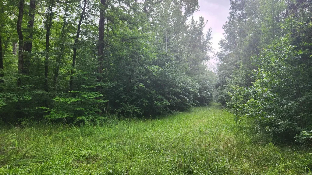 Tbd Markerville Road, Story