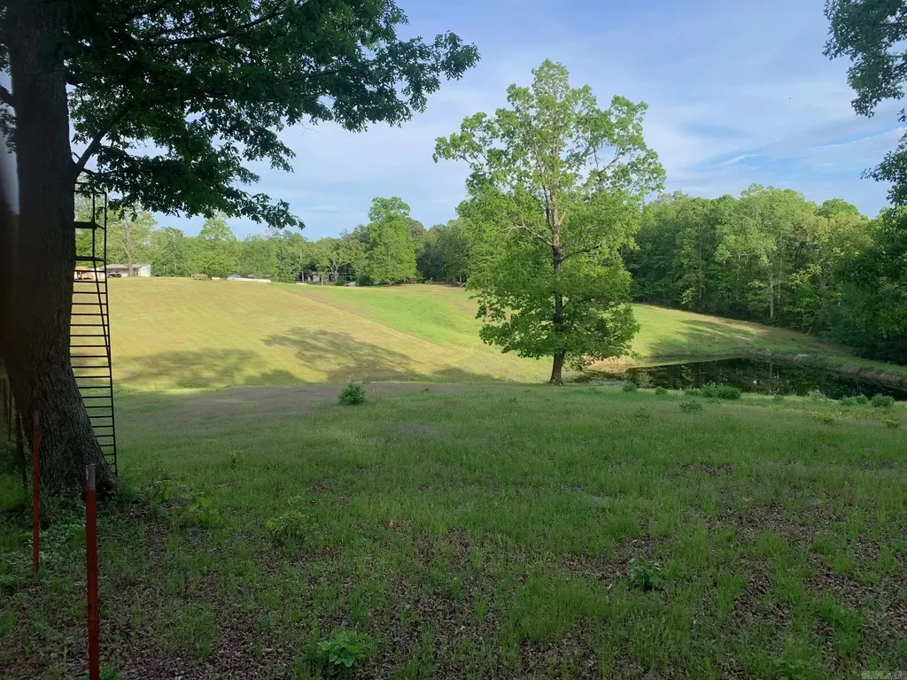 Tbd Polk Road 168 Lot #6, Mena