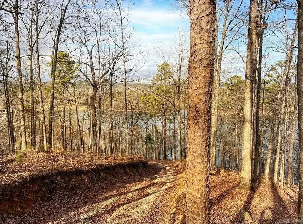 206 & 208 Avonshire Terrace, Hot Springs