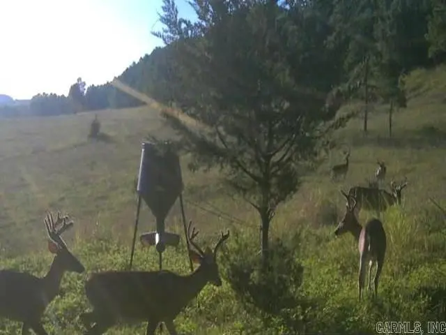 438 Nathan Highway, Nashville