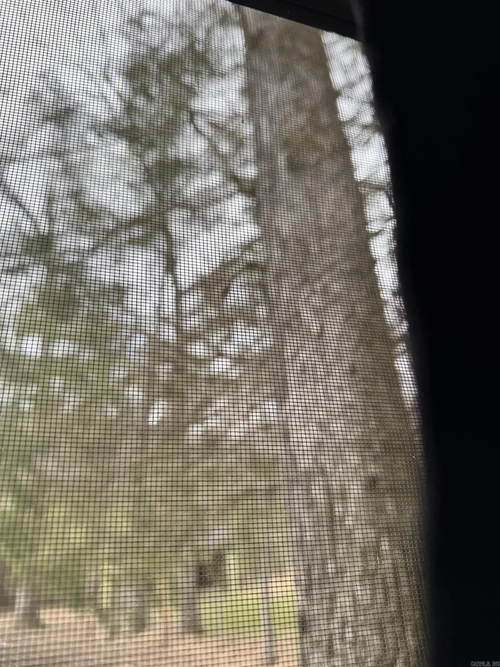 4003 Highway 54, Pine Bluff