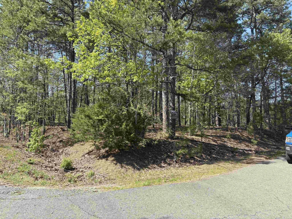 30 Lindo Lane, Hot Springs Village