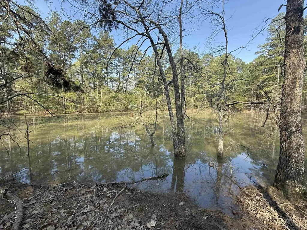 1314 Shoemaker Road, Violet Hill